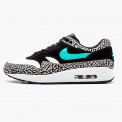 Nike WMNS Air Max 1 Atmos Elephant 858876 013 Sports Shoes 