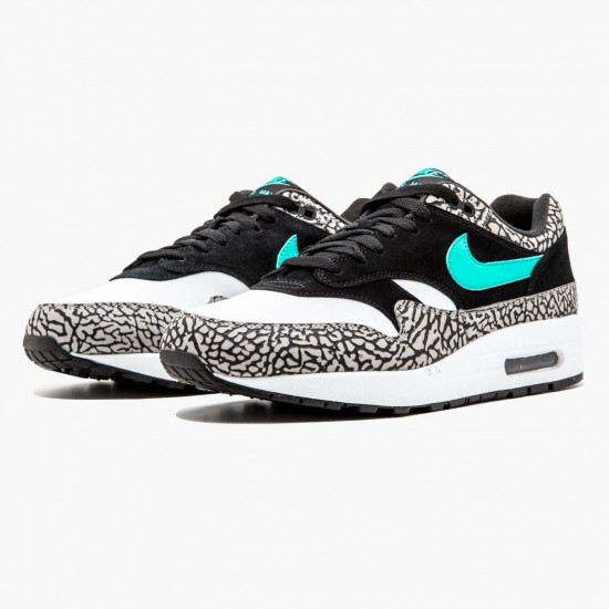 Nike WMNS Air Max 1 Atmos Elephant 858876 013 Sports Shoes