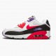 Nike WMNS Air Max 90 Raptors AJ1285 106 Sports Shoes