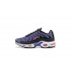 Air Max Plus Tn Purple Black CD0609-024 Mens Sneakers