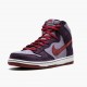 Nike WMNS Dunk SB High Daybreak Plum 313171 500 Sports Shoes