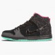 Nike WMNS Dunk SB High Premier Northern Lights 313171 063 Sports Shoes