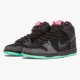 Nike WMNS Dunk SB High Premier Northern Lights 313171 063 Sports Shoes