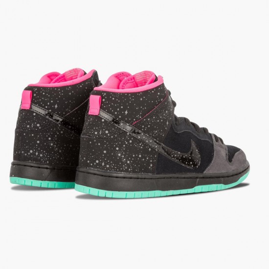 Nike WMNS Dunk SB High Premier Northern Lights 313171 063 Sports Shoes