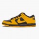 Nike WMNS Dunk SB Low Iowa 304292 706 Sports Shoes