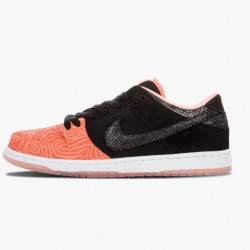 Nike WMNS Dunk SB Low Premier Fish Ladder 313170 603 Sports Shoes