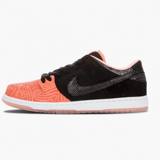 Nike WMNS Dunk SB Low Premier Fish Ladder 313170 603 Sports Shoes