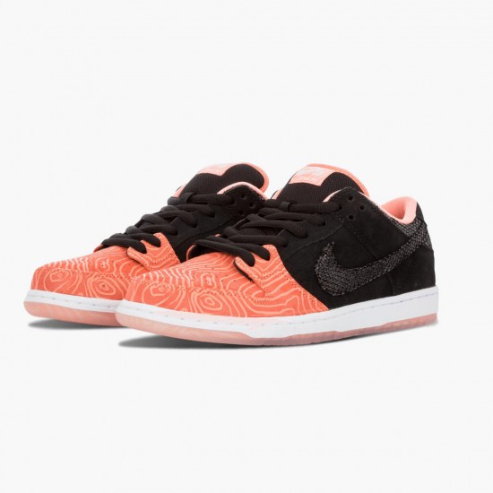 Nike WMNS Dunk SB Low Premier Fish Ladder 313170 603 Sports Shoes