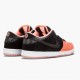 Nike WMNS Dunk SB Low Premier Fish Ladder 313170 603 Sports Shoes