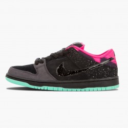 Nike WMNS Dunk SB Low Premier Northern Lights 724183 063 Sports Shoes