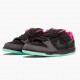 Nike WMNS Dunk SB Low Premier Northern Lights 724183 063 Sports Shoes