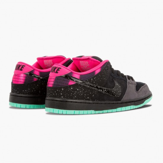 Nike WMNS Dunk SB Low Premier Northern Lights 724183 063 Sports Shoes