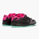 Nike WMNS Dunk SB Low Premier Northern Lights 724183 063 Sports Shoes