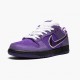 Nike WMNS SB Dunk Low Concepts Purple Lobster BV1310 555 Sports Shoes