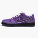 Nike WMNS SB Dunk Low Concepts Purple Lobster BV1310 555a Sports Shoes