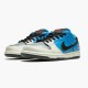 Nike WMNS SB Dunk Low Instant Skateboards CZ5128 400 Sports Shoes