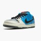 Nike WMNS SB Dunk Low Instant Skateboards CZ5128 400 Sports Shoes