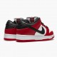 Nike WMNS SB Dunk Low J Pack Chicago BQ6817 600 Sports Shoes