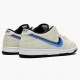 Nike WMNS SB Dunk Low Truck It CT6688 200 Sports Shoes